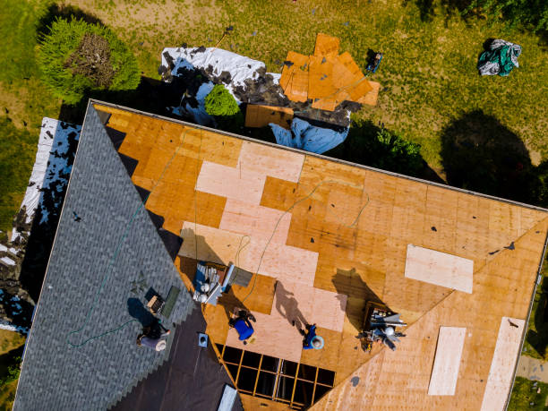 Roof Gutter Cleaning in Barling, AR